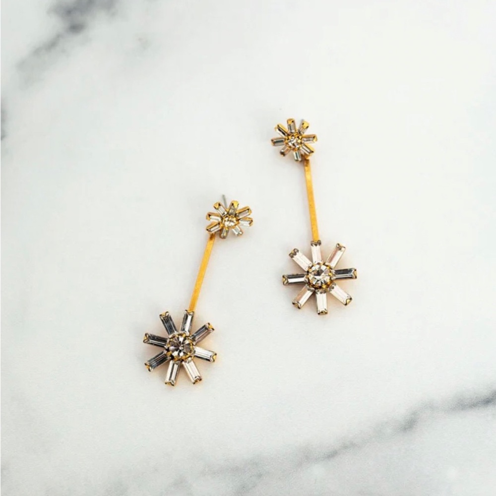 Elizabeth Cole Saylor Earrings